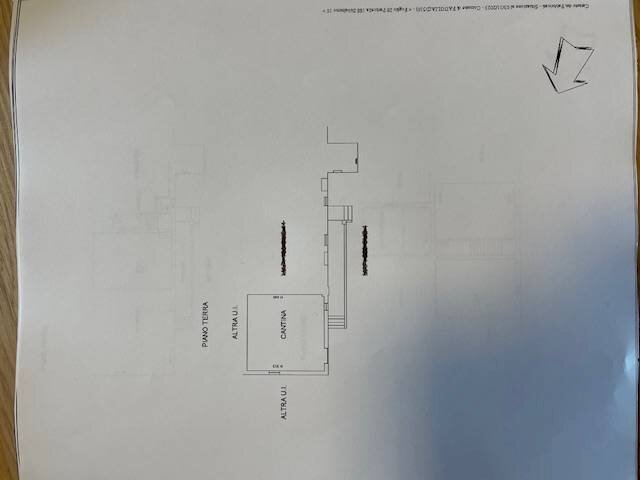 Foto 19 - Appartamento Via Scacciapolli
 
1, Fauglia - planimetria 1