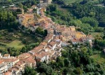 Foto 3 - Terreno agricolo Via Poggio alla farnia, Fauglia - foto 3