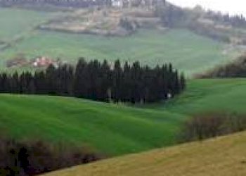 Foto 10 - Commercial Activity Via Napoli
15, Collesalvetti - photo 10