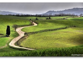 Foto 2 - Terraced Villa Via Delle Buchette, Collesalvetti - photo 2