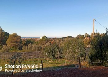 Foto 6 - Agricultural land Via Dello Gore, Livorno - photo 6