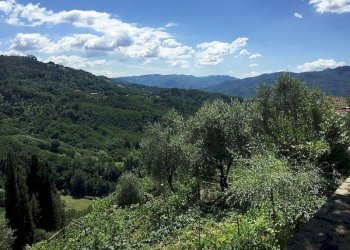 Foto 1 - Terreno agricolo Via Valtriano
 
7, Fauglia - foto 1