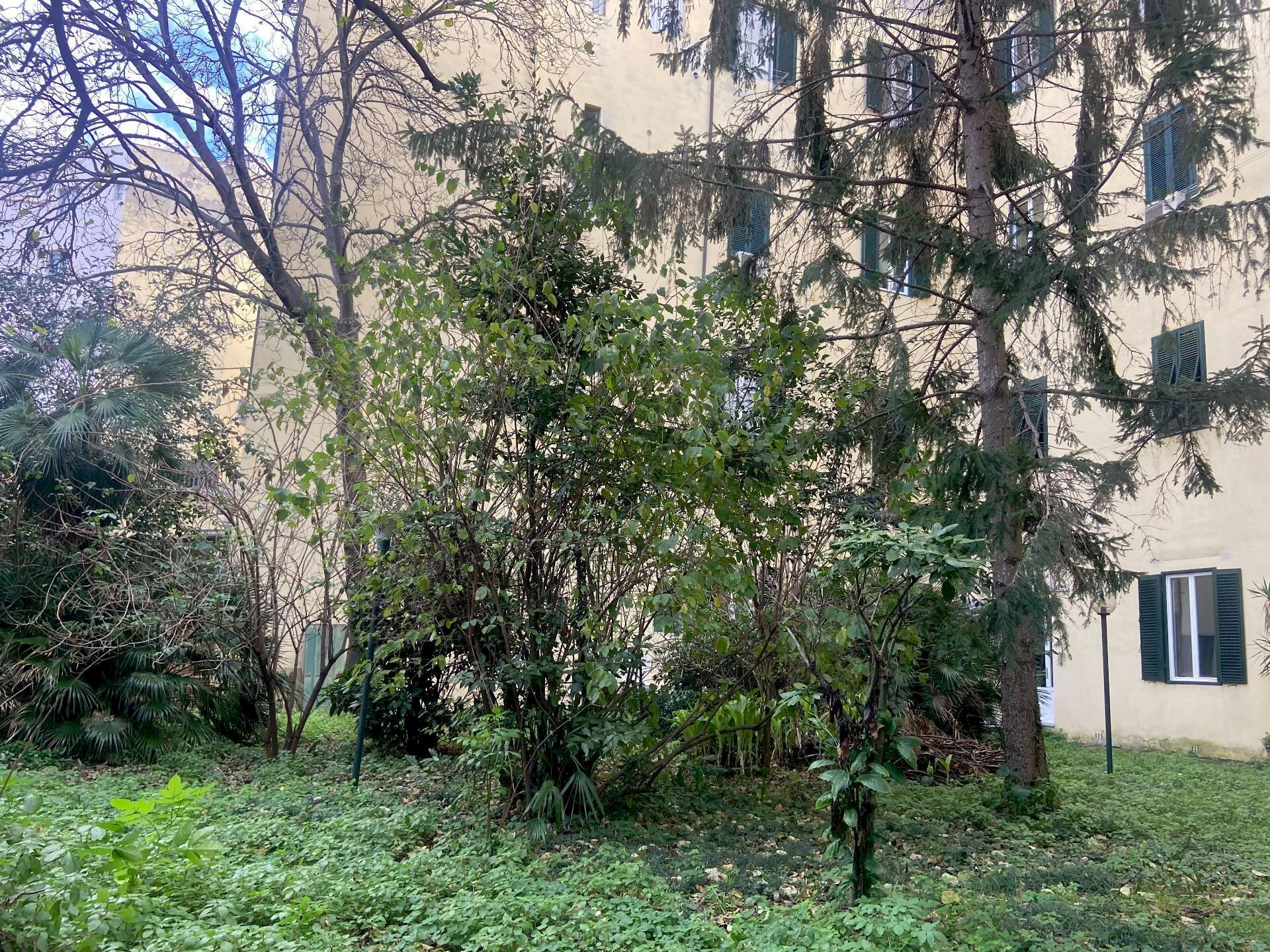 Foto 2 - Appartamento Via Dell' Indipendenza
 
33, Livorno - foto 2