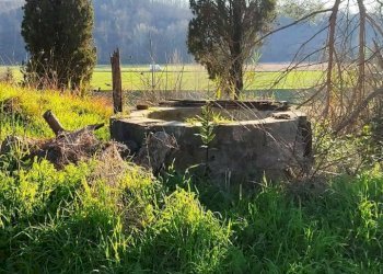 Foto 3 - Appartamento Via Scacciapolli
 
25, Fauglia - foto 3