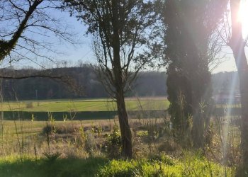 Foto 5 - Appartamento Via Scacciapolli
 
25, Fauglia - foto 5