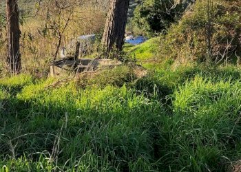 Foto 7 - Appartamento Via Scacciapolli
 
25, Fauglia - foto 7