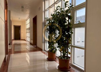 Foto 2 - Appartamento Via Montello, Treviso - foto 2