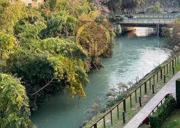 Foto 7 - Appartamento Via Montello, Treviso - foto 7