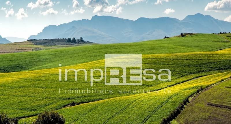 Foto 3 - Terreno agricolo via San Romano, Ponte di Piave - foto 3