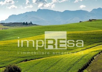 Foto 3 - Terreno agricolo via San Romano, Ponte di Piave - foto 3