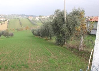 Foto 16 - Rustico Frazione borrano
 
64010, Civitella del Tronto - foto 16