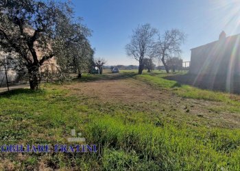 Foto 6 - Rustico Via Giuseppe Verdi, Sant'Egidio alla Vibrata - foto 6