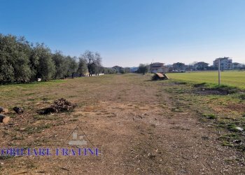 Foto 20 - Rustico Via Giuseppe Verdi, Sant'Egidio alla Vibrata - foto 20