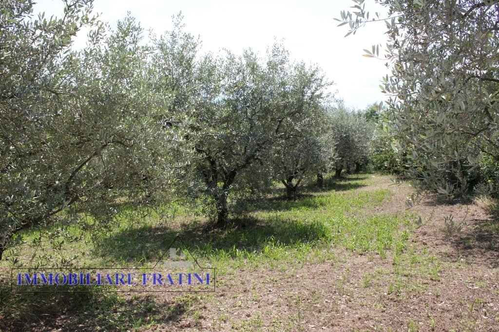 Foto 1 - Terreno edificabile Via Villa Morganti, Colli del Tronto - foto 1