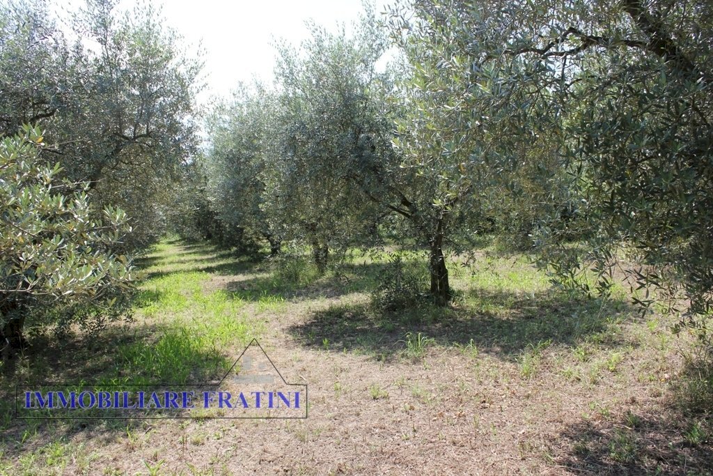 Foto 2 - Terreno edificabile Via Villa Morganti, Colli del Tronto - foto 2