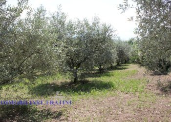 Foto 1 - Terreno edificabile Via Villa Morganti, Colli del Tronto - foto 1