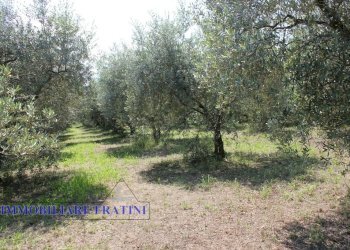 Foto 2 - Terreno edificabile Via Villa Morganti, Colli del Tronto - foto 2