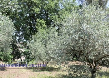 Foto 6 - Terreno edificabile Via Villa Morganti, Colli del Tronto - foto 6