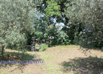 Foto 7 - Terreno edificabile Via Villa Morganti, Colli del Tronto - foto 7