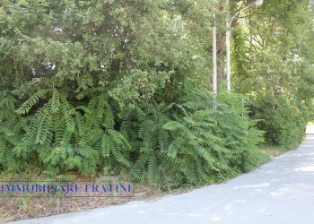 Foto 9 - Terreno edificabile Via Villa Morganti, Colli del Tronto - foto 9