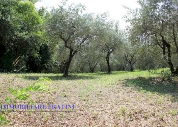 Foto 10 - Terreno edificabile Via Villa Morganti, Colli del Tronto - foto 10