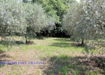 Foto 12 - Terreno edificabile Via Villa Morganti, Colli del Tronto - foto 12