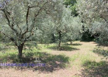 Foto 15 - Terreno edificabile Via Villa Morganti, Colli del Tronto - foto 15