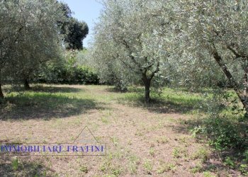 Foto 16 - Terreno edificabile Via Villa Morganti, Colli del Tronto - foto 16