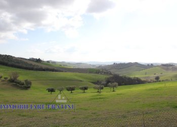 Foto 1 - Agricultural land Contrada Valle San Martino
 
snc, Appignano del Tronto - photo 1