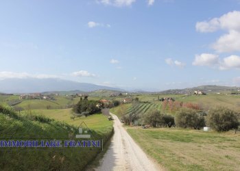 Foto 3 - Agricultural land Contrada Valle San Martino
 
snc, Appignano del Tronto - photo 3