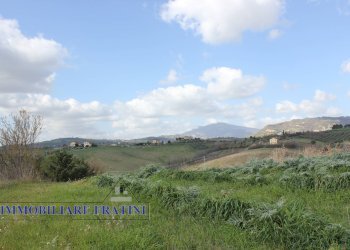 Foto 4 - Agricultural land Contrada Valle San Martino
 
snc, Appignano del Tronto - photo 4