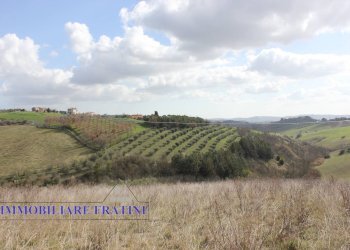 Foto 10 - Agricultural land Contrada Valle San Martino
 
snc, Appignano del Tronto - photo 10