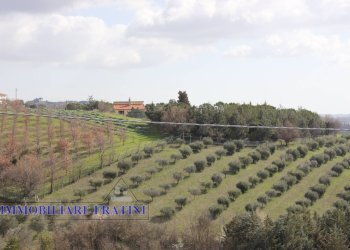 Foto 12 - Agricultural land Contrada Valle San Martino
 
snc, Appignano del Tronto - photo 12