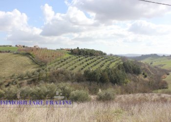 Foto 13 - Agricultural land Contrada Valle San Martino
 
snc, Appignano del Tronto - photo 13