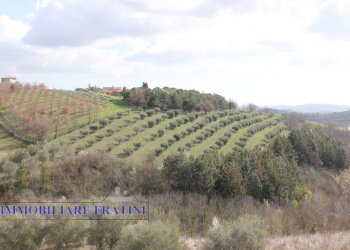 Foto 14 - Agricultural land Contrada Valle San Martino
 
snc, Appignano del Tronto - photo 14