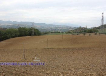 Foto 3 - Terreno agricolo Via Lame, Tossicia - foto 3