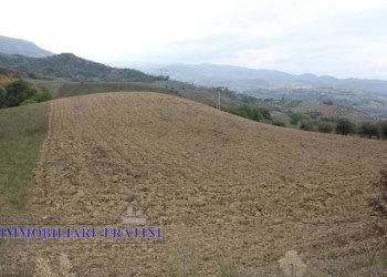 Foto 5 - Terreno agricolo Via Lame, Tossicia - foto 5