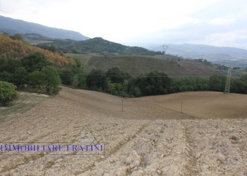 Foto 6 - Terreno agricolo Via Lame, Tossicia - foto 6