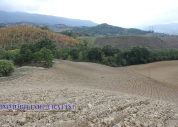 Foto 7 - Terreno agricolo Via Lame, Tossicia - foto 7