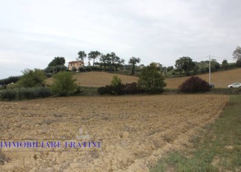 Foto 10 - Terreno agricolo Via Lame, Tossicia - foto 10