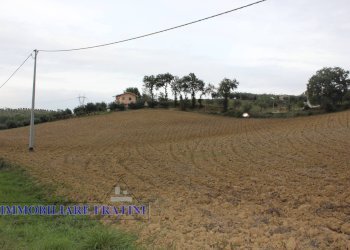 Foto 12 - Terreno agricolo Via Lame, Tossicia - foto 12