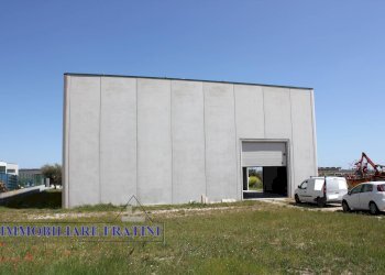 Foto 2 - Capannone Sant'Egidio alla Vibrata, Sant'Egidio alla Vibrata - foto 2