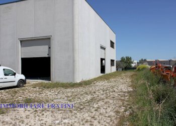 Foto 5 - Capannone Sant'Egidio alla Vibrata, Sant'Egidio alla Vibrata - foto 5