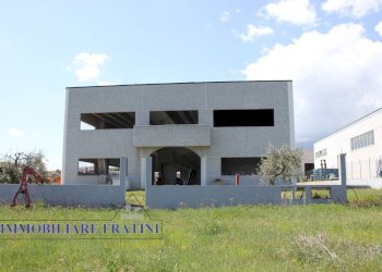 Foto 8 - Capannone Sant'Egidio alla Vibrata, Sant'Egidio alla Vibrata - foto 8