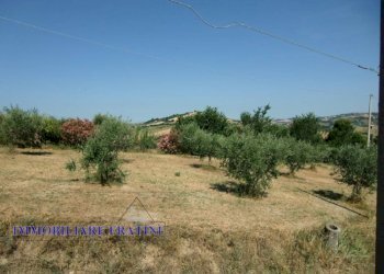 Foto 10 - Rustic Ponsano, Civitella del Tronto - photo 10