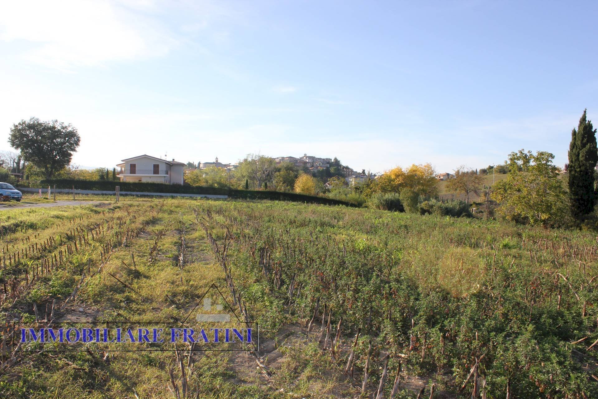 Foto 2 - Terreno agricolo Viale Abruzzi, Maltignano - foto 2