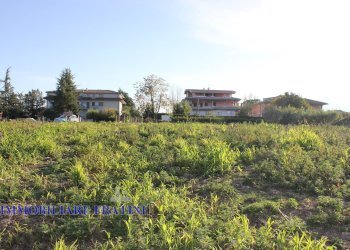 Foto 6 - Agricultural land Viale Abruzzi, Maltignano - photo 6