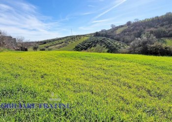 Foto 19 - Rustic Villa Olivieri, Civitella del Tronto - photo 19