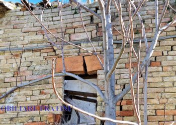 Foto 21 - Rustic Villa Olivieri, Civitella del Tronto - photo 21