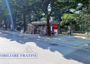 Foto 16 - Attività Commerciale Viale Alcide De Gasperi, Ascoli Piceno - foto 16